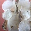 Coastal Mother-Of-Pearl Chandelier