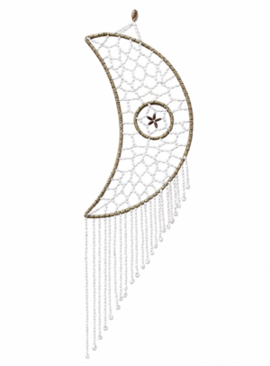 Crescent Shell Dreamcatcher