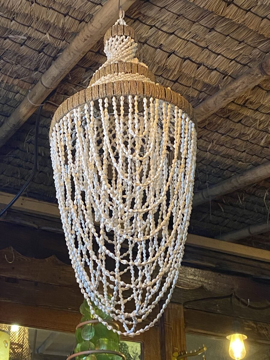 image chan Shell Chandelier