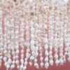 Ivory Horizon Chandelier