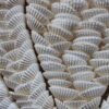 Lotus Wall Decor