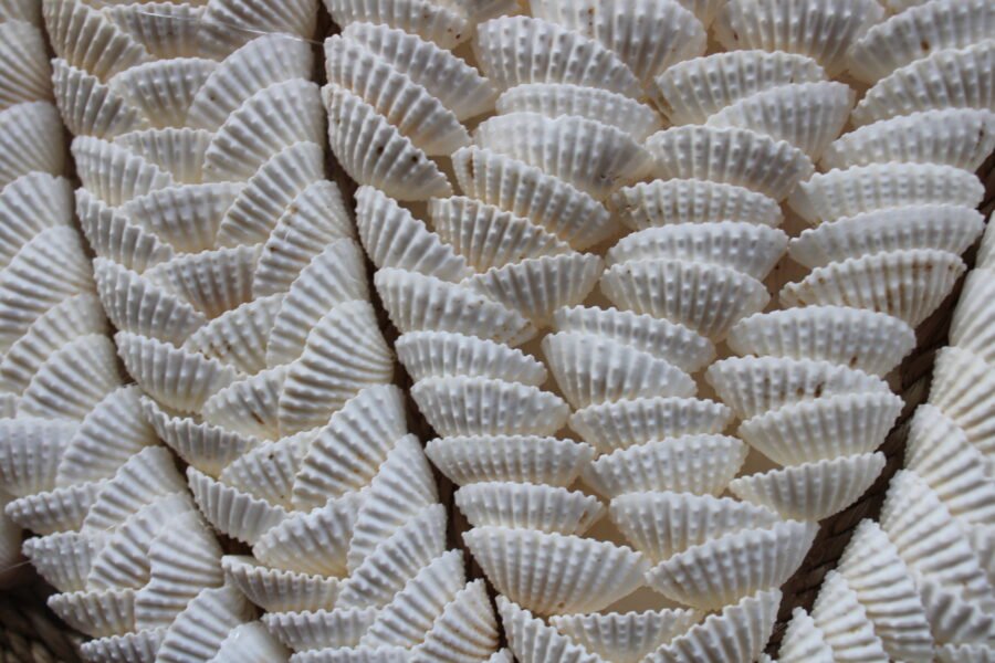 Lotus Wall Decor