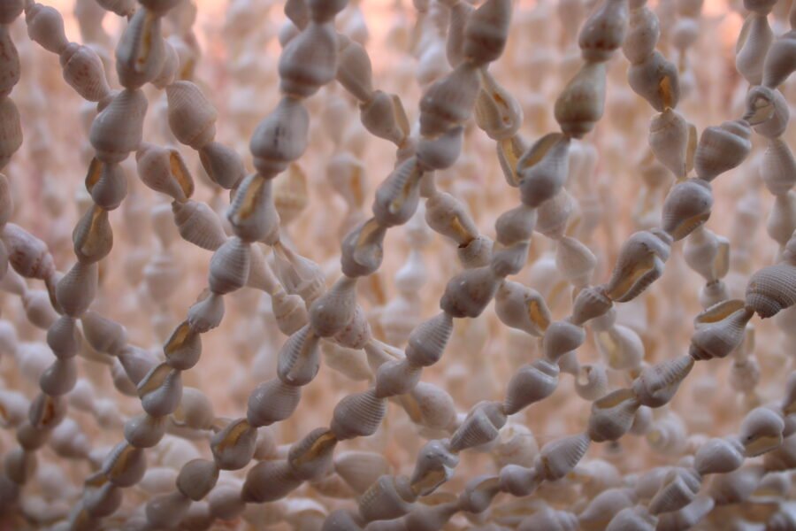 White Reef Chandelier