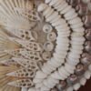 Seahorse Wall Decor