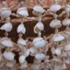 Coral Garden Chandelier