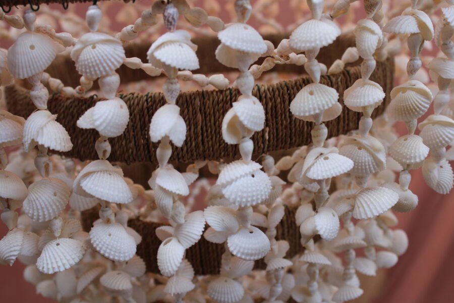Coral Garden Chandelier