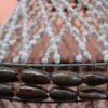 Temple Pearl Chandelier