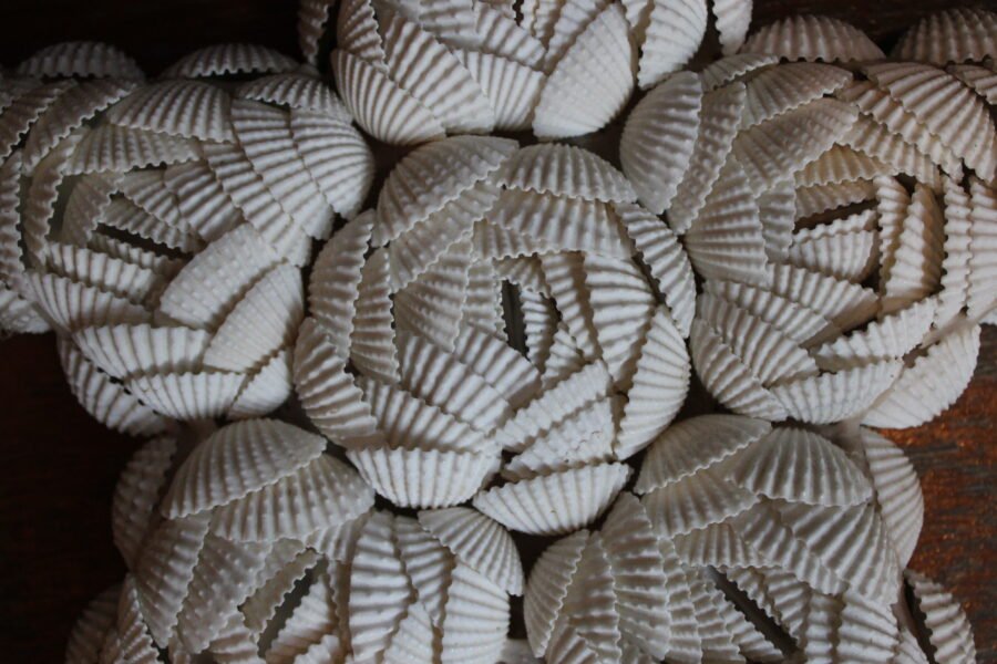 Sea Star Wall Decor