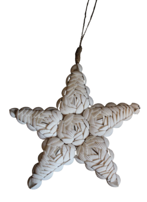 Sea Star Wall Decor