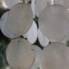 Moonlight Mother-Of-Pearl Garland detail 2 Moonlight Mother-Of-Pearl Garland