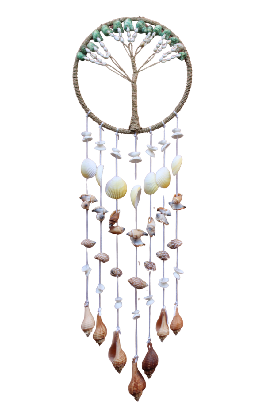 Ocean Roots Dreamcatcher Ocean Roots Dreamcatcher