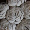 Sea Star Wall Decor detail Sea Star Wall Decor