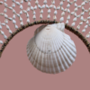 Shell Halo Dreamcatcher detail 1 Shell Halo Dreamcatcher