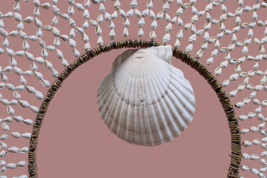 Shell Halo Dreamcatcher detail 1 Shell Halo Dreamcatcher
