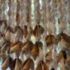 Nusa Chandelier